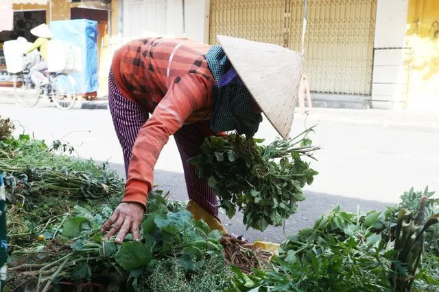 Mrs. Lich has been picking leaves on the 5th for more than 50 years